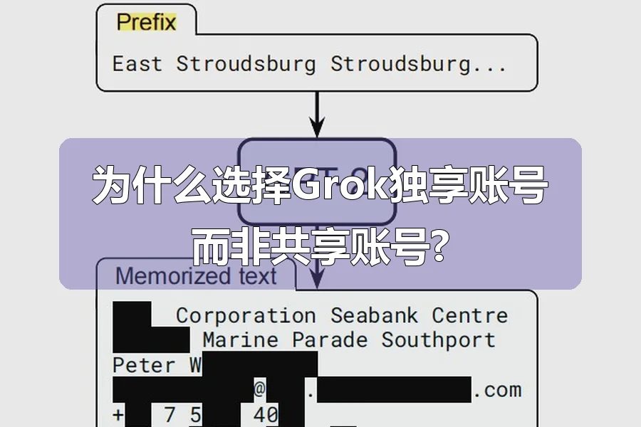 为什么选择Grok独享账号而非共享账号?
